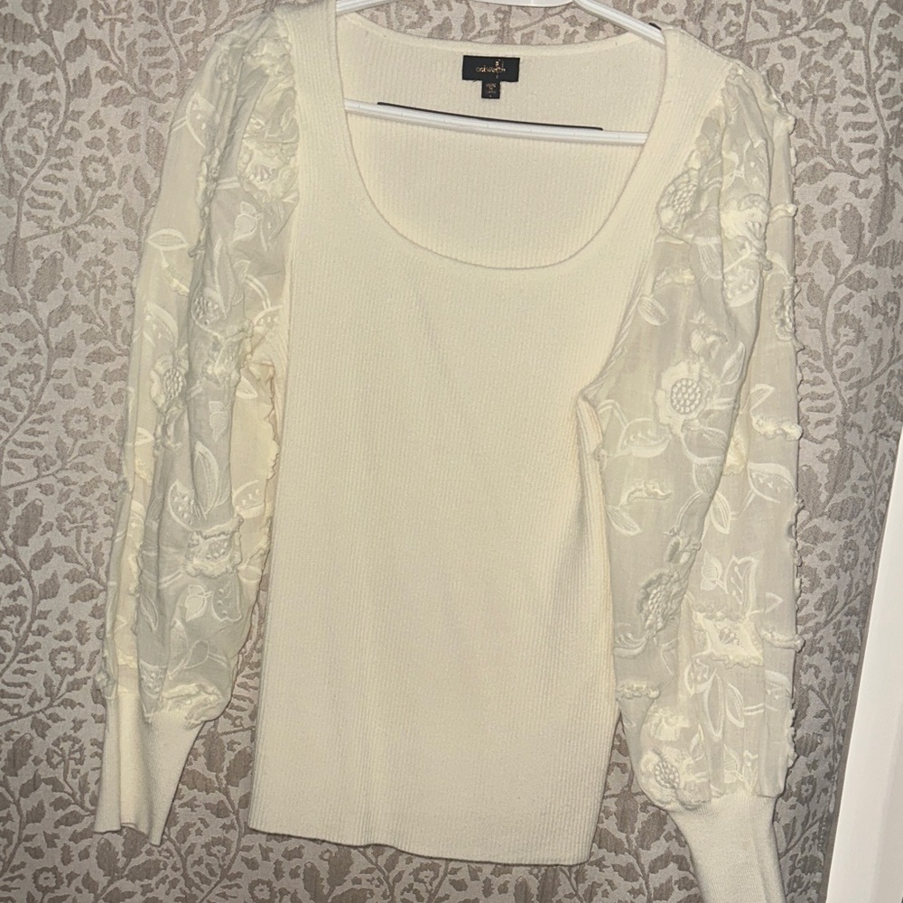 Cream Sweater with Sheer Embroidered Sleeves